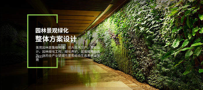 产品中心